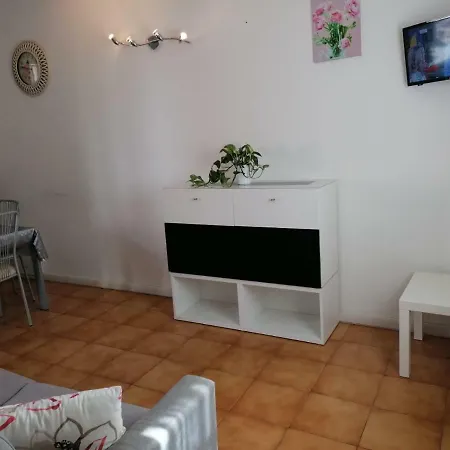Vivi Vicenza